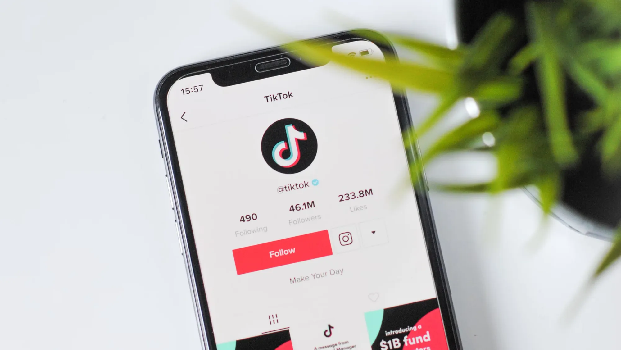 Smartphone auf einem weissen Tisch zeigt das offizielle TikTok-Profil mit Logo und Follow-Button, daneben unscharf eine grüne Pflanze.
