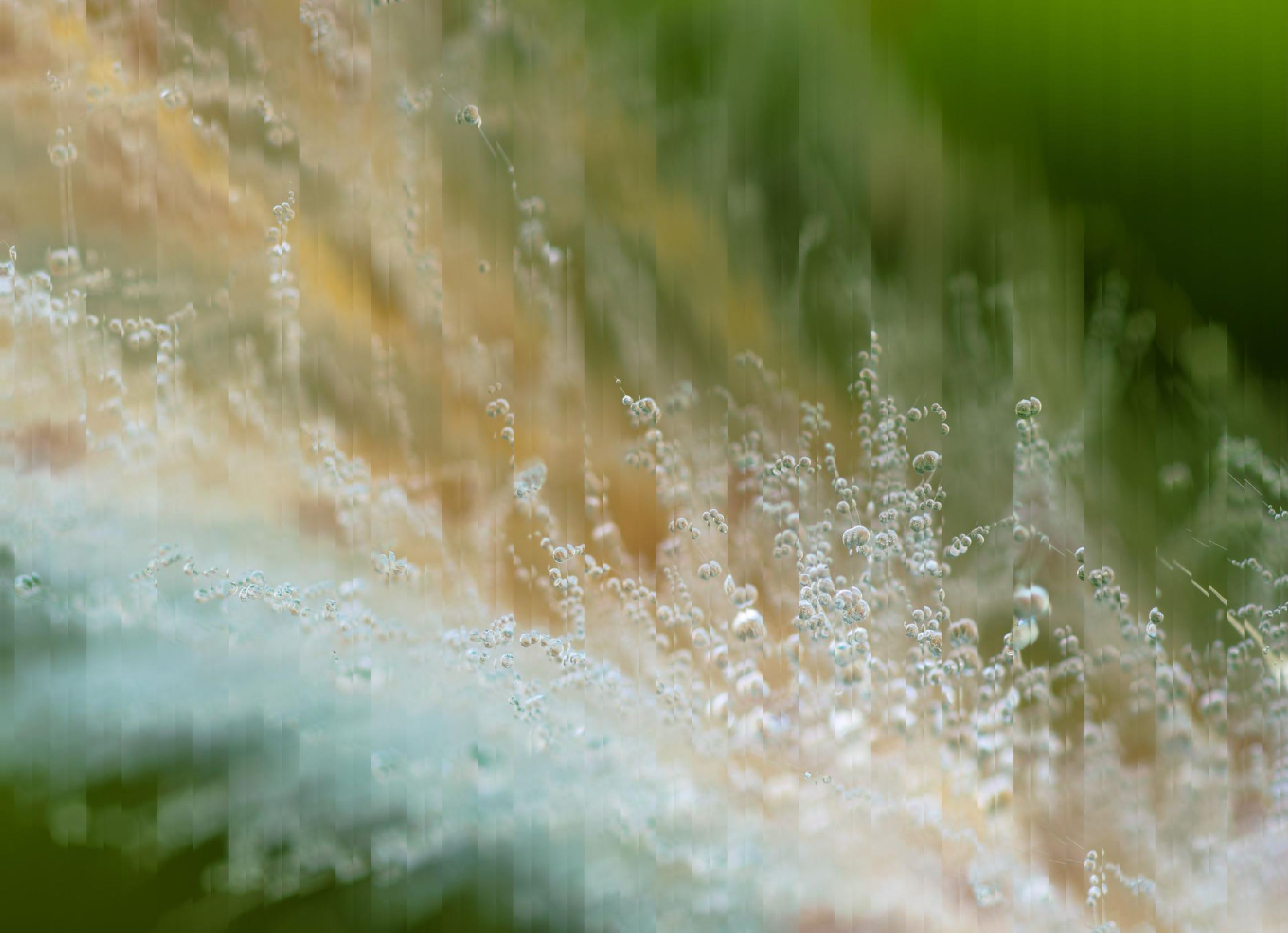 Custom Software for Adaptive Supply Chain