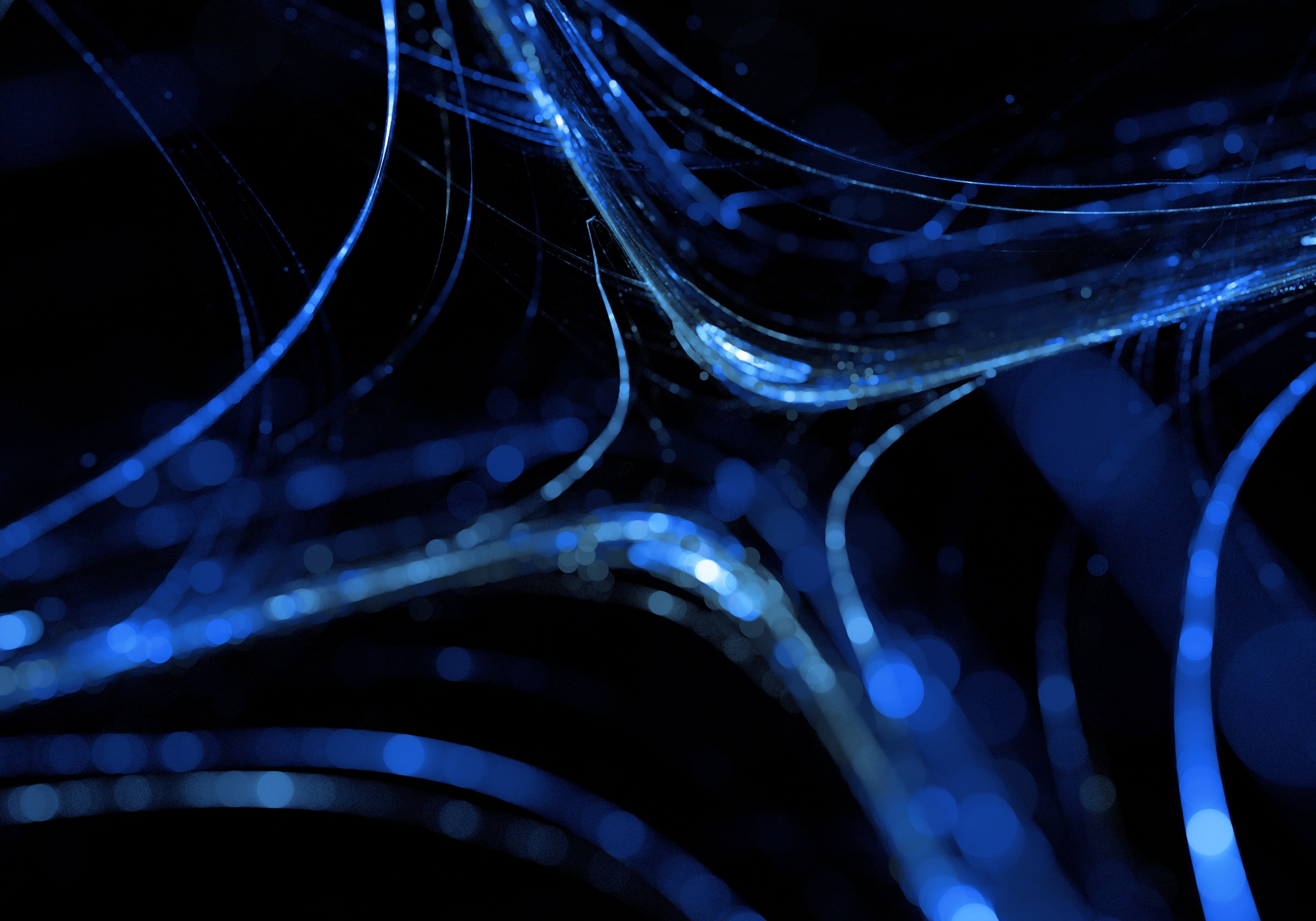 Leading QSR Transforms Supply Chain With Custom Mobile App