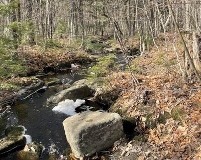 Conservation Resources Adds 23,000 Acres in Maine to its Sustainable Forestry Investments