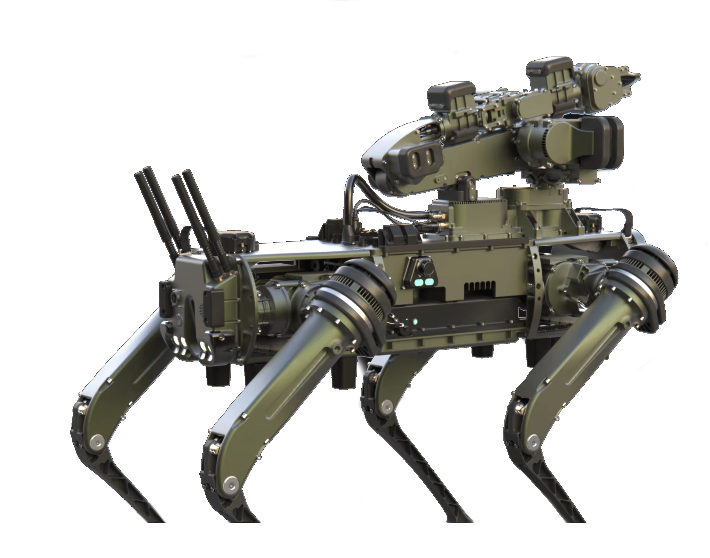 Manipulatorarm