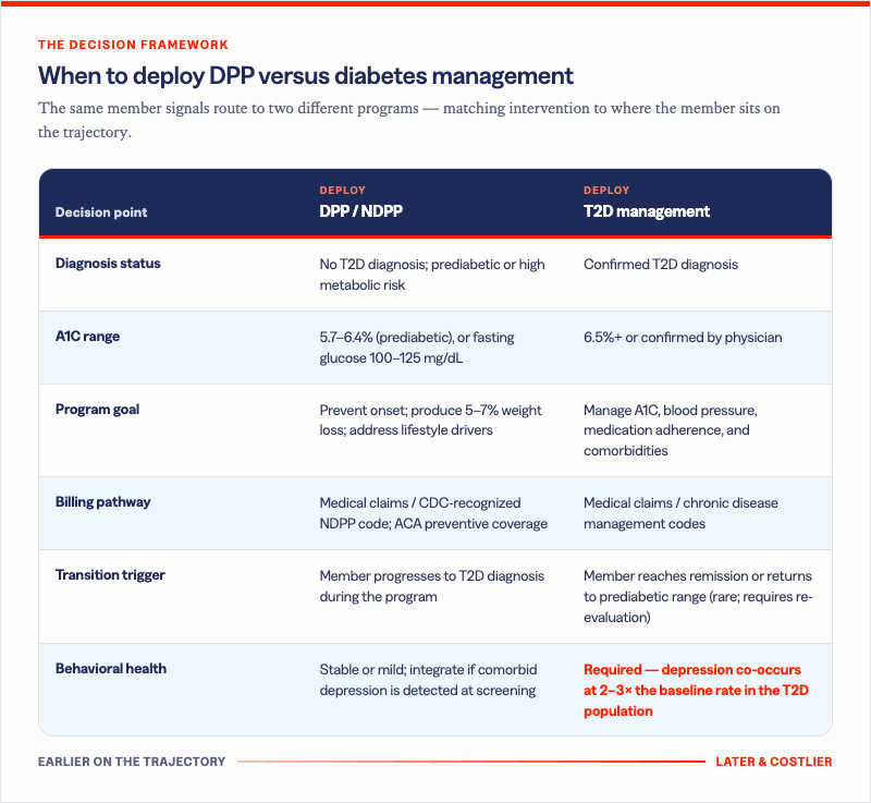 Solera Health decision-framework table titled "When to deploy DPP versus diabetes management," under the eyebrow "The decision framework," noting that the same member signals route to two different programs by matching intervention to where the member sits on the trajectory. Three columns: Decision point, Deploy DPP / NDPP, and Deploy T2D management. Rows — Diagnosis status: no T2D diagnosis, prediabetic or high metabolic risk / confirmed T2D diagnosis. A1C range: 5.7–6.4% prediabetic or fasting glucose 100–125 mg/dL / 6.5%+ or confirmed by physician. Program goal: prevent onset, produce 5–7% weight loss, address lifestyle drivers / manage A1C, blood pressure, medication adherence, and comorbidities. Billing pathway: medical claims with CDC-recognized NDPP code and ACA preventive coverage / medical claims with chronic disease management codes. Transition trigger: member progresses to T2D diagnosis during the program / member reaches remission or returns to prediabetic range, which is rare and requires re-evaluation. Behavioral health: stable or mild, integrate if comorbid depression is detected at screening / required, because depression co-occurs at 2–3× the baseline rate in the T2D population. A footer axis runs from "Earlier on the trajectory" to "Later & costlier."