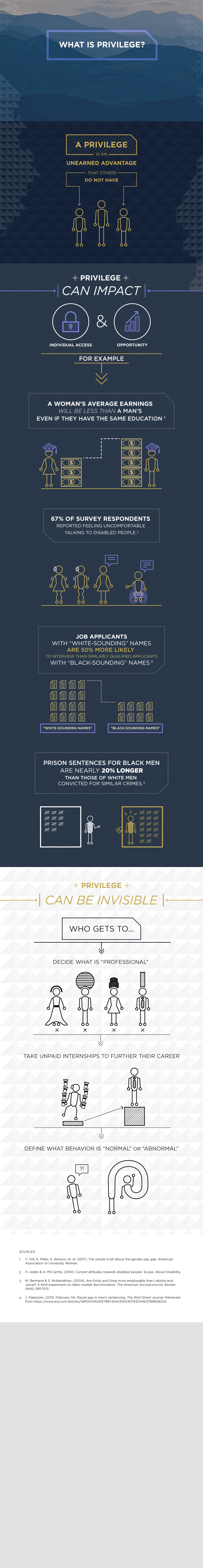 What is Privilege full infographic