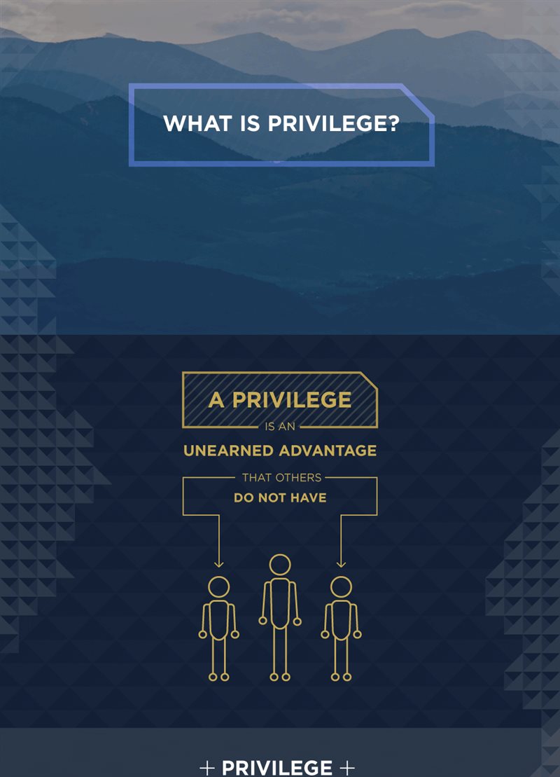 What is Privilege infographic preview