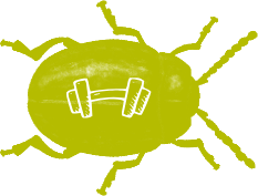 Physical Fitness