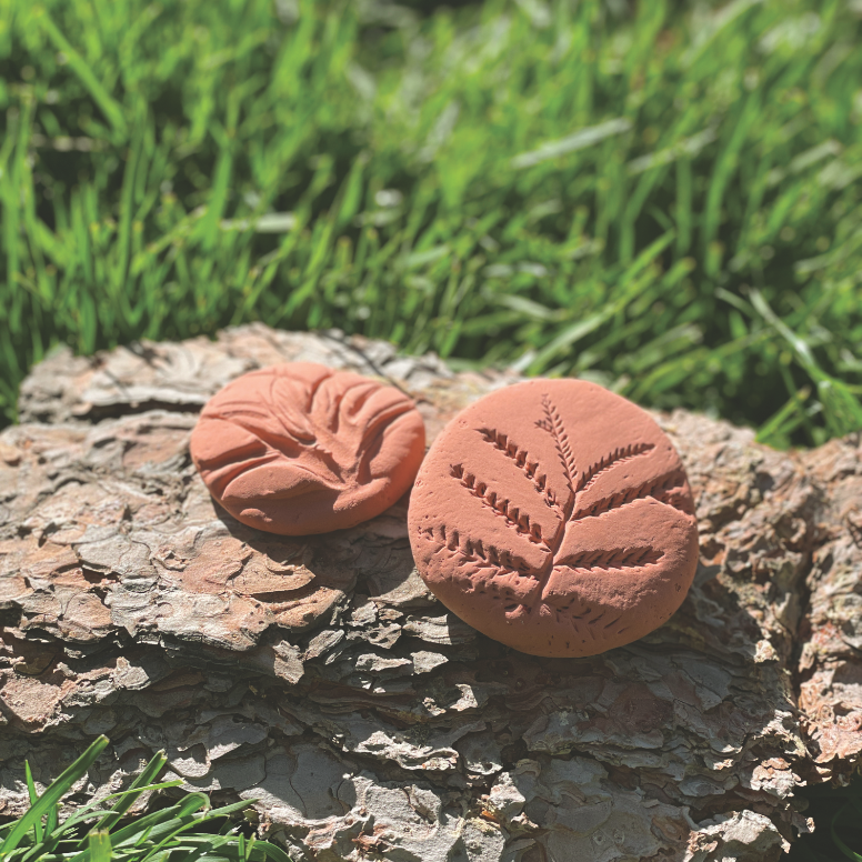 Homemade plant fossils imprinted on clay, displayed on a tree trunk with a backdrop of grass.