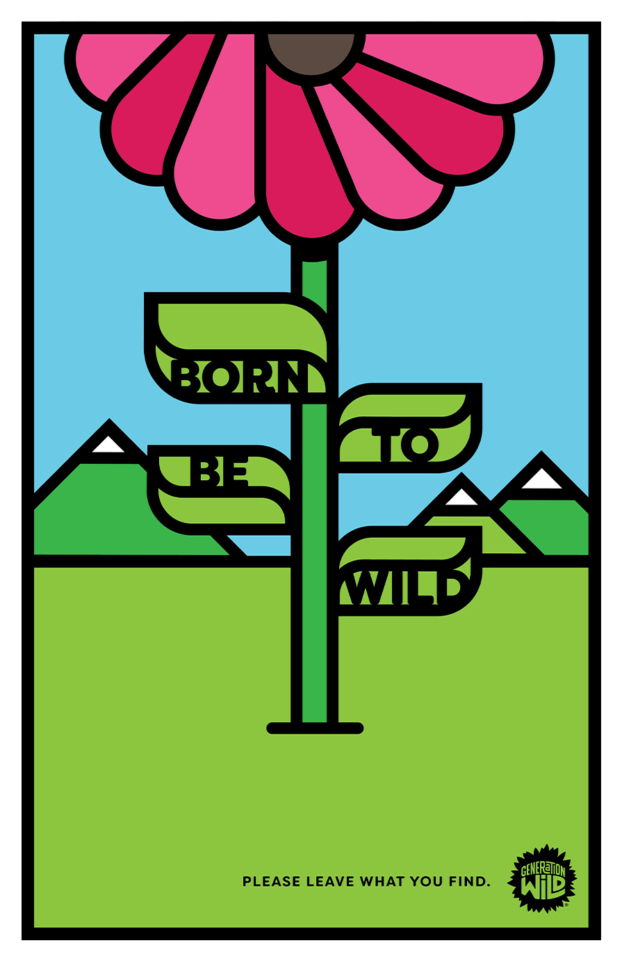 Merlin App