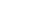 The Village Newcastle logo