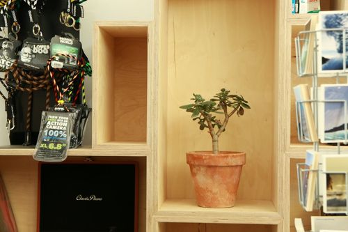 Original lanyards displayed