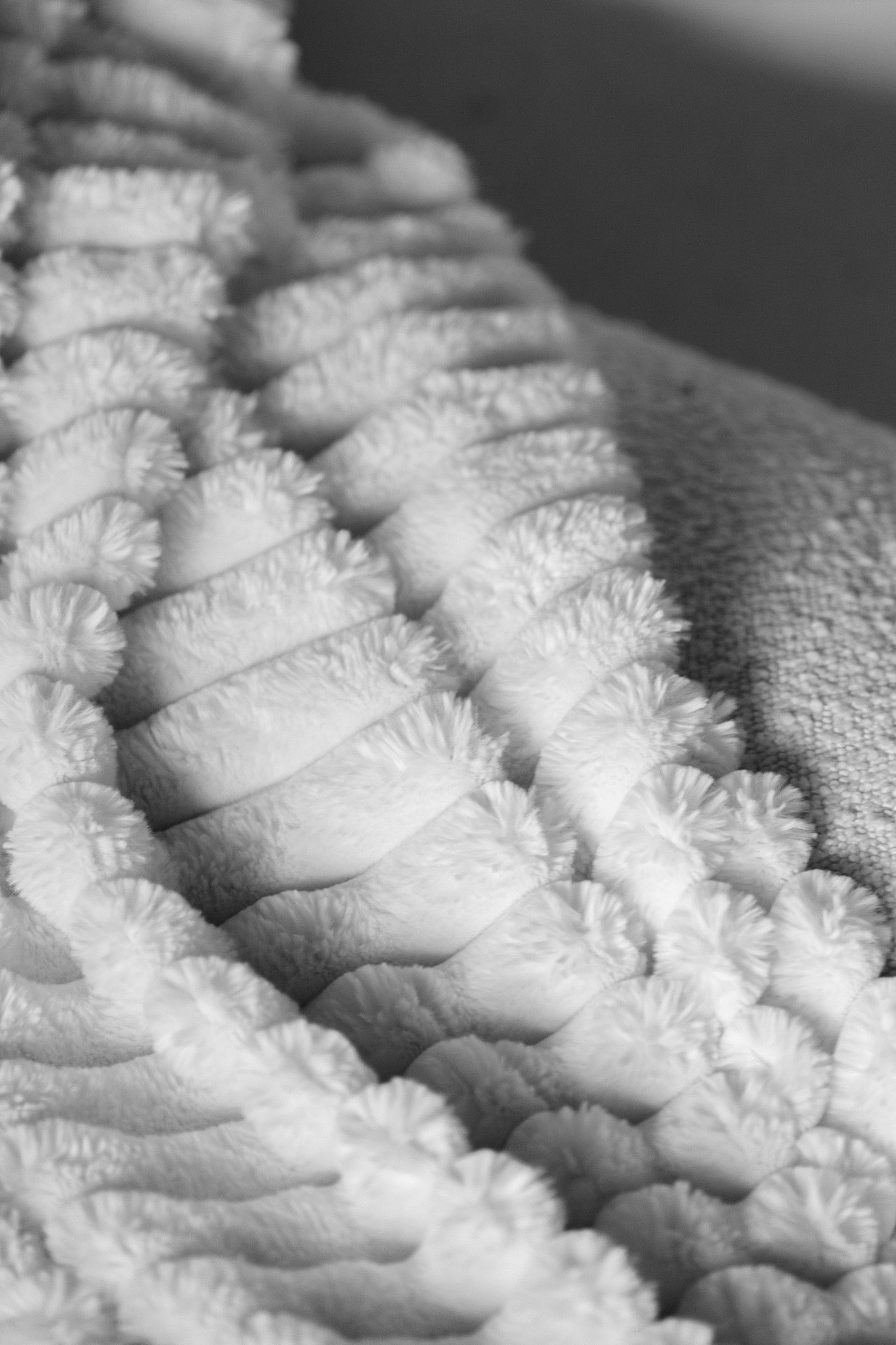 GRAVITATE Digital | Tweed Heads Photography Studio | Frequently Asked Questions