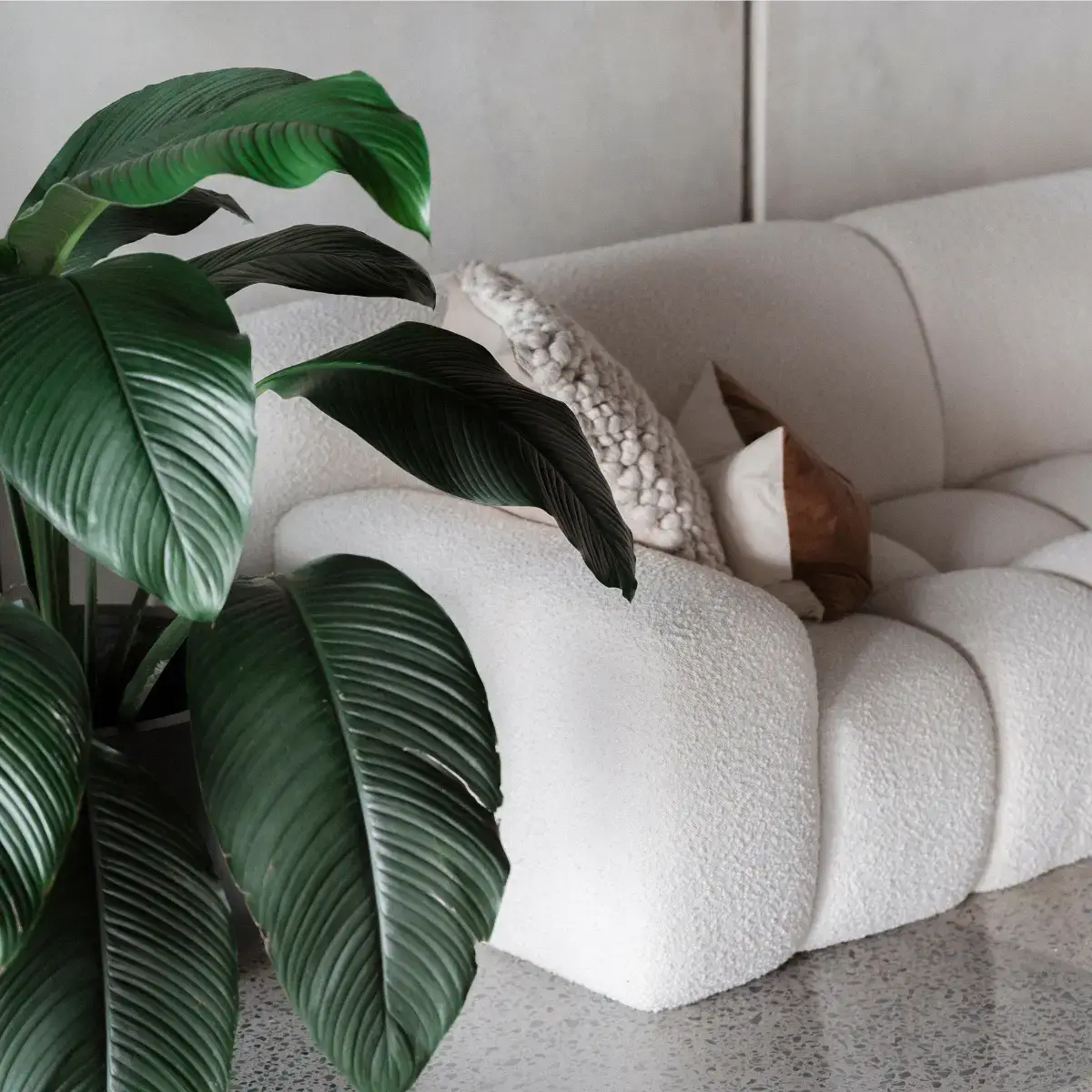 GRAVITATE Studio | Tweed Heads Photography Studio with Floor to Ceiling Cyclorama - Lifestyle Space