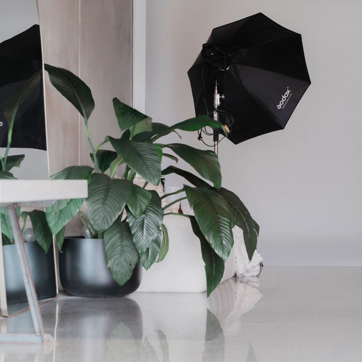 GRAVITATE Studio | Tweed Heads Photography Studio with Floor to Ceiling Cyclorama