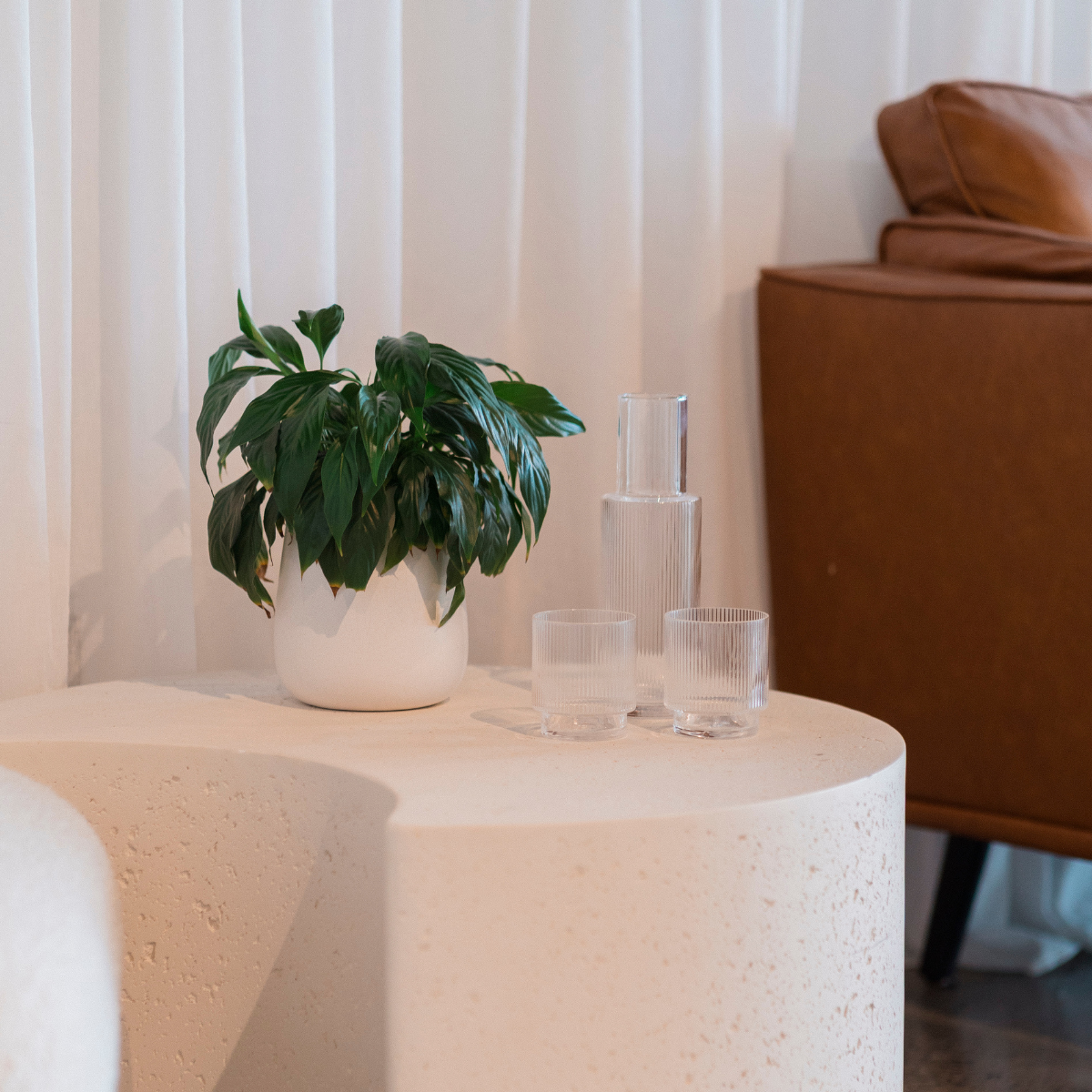 GRAVITATE Studio | Tweed Heads Photography Studio with Floor to Ceiling Cyclorama