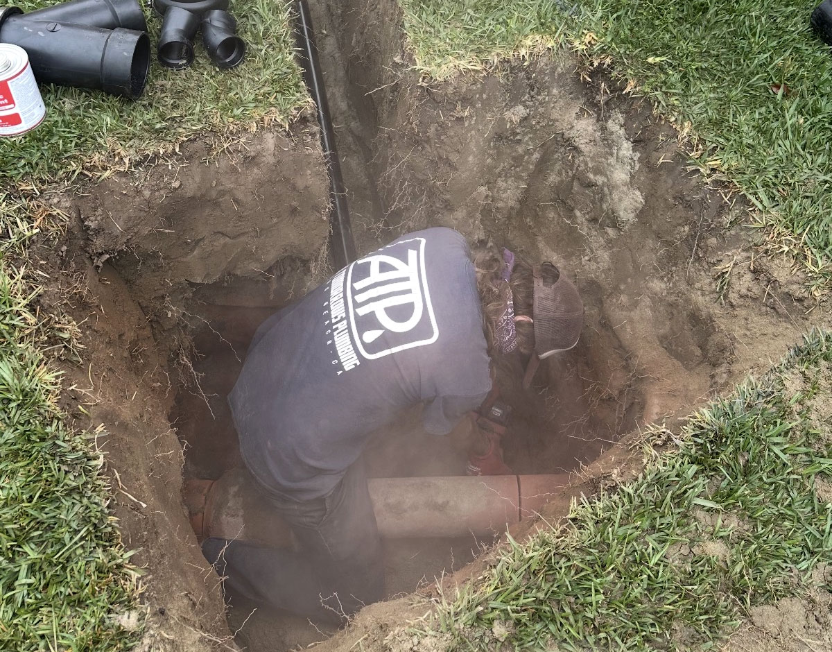 Tree Roots in Sewer Lines Long Beach Plumber