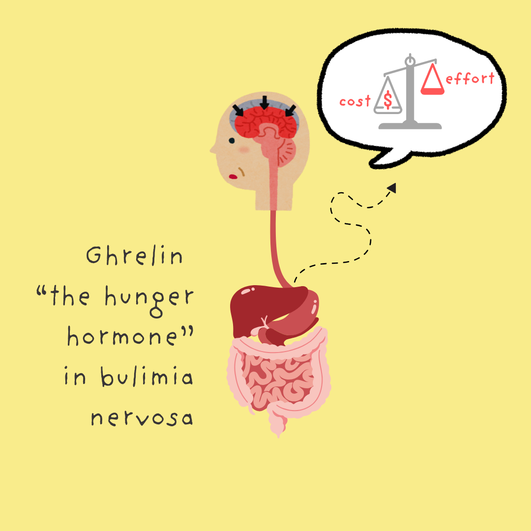 Gut Hormones and Effort-Cost Computation in Bulimia Nervosa