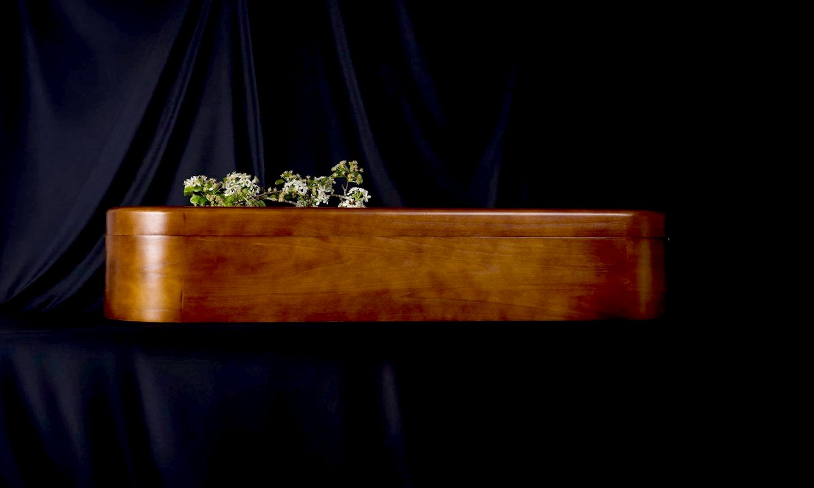Swansong Chestnut against a dark drape
