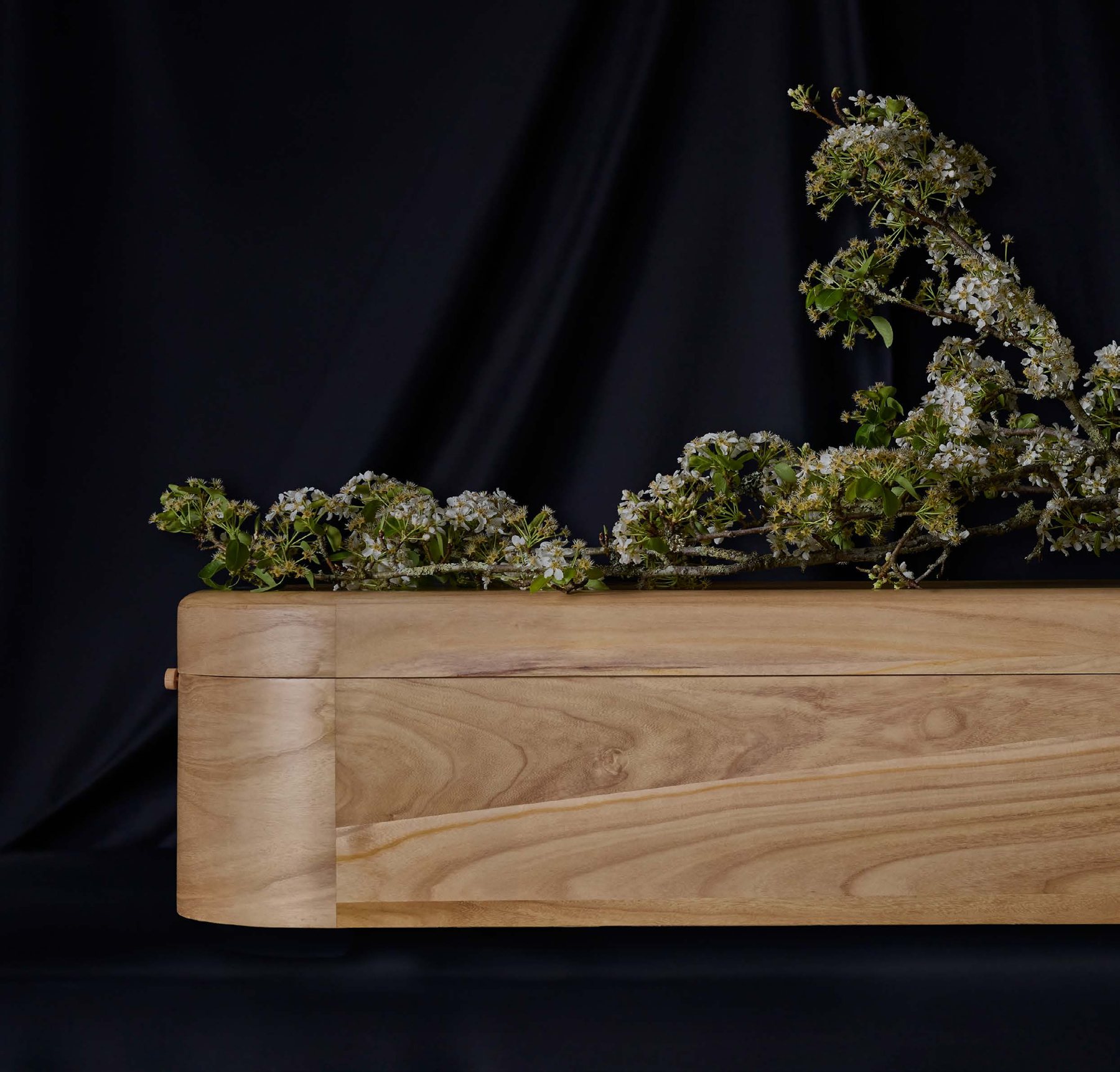 Swansong Oak coffin with spring blossom against a dark drape