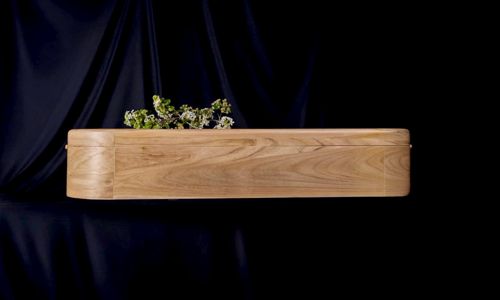 Swansong Oak against a dark drape