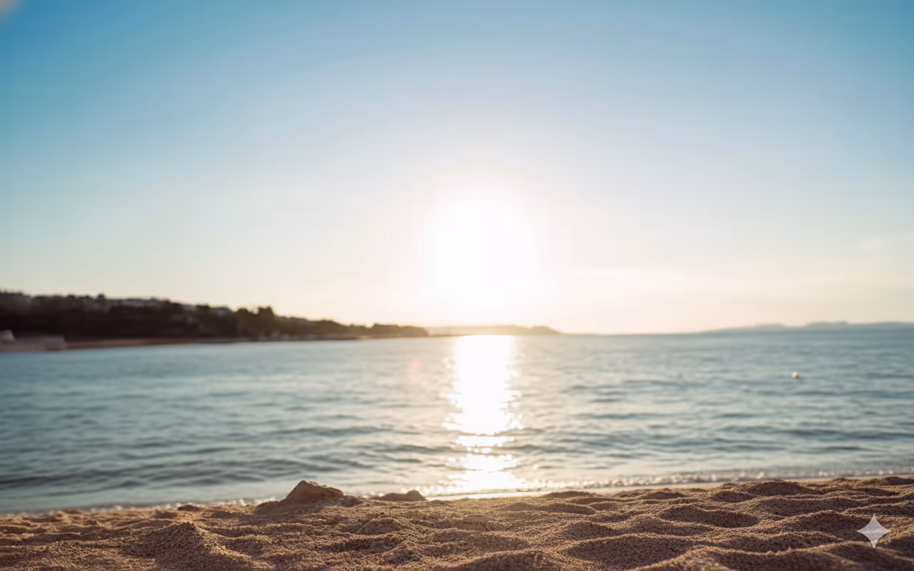 a beach scene