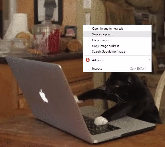 how-to-add-gif-outlook-ca