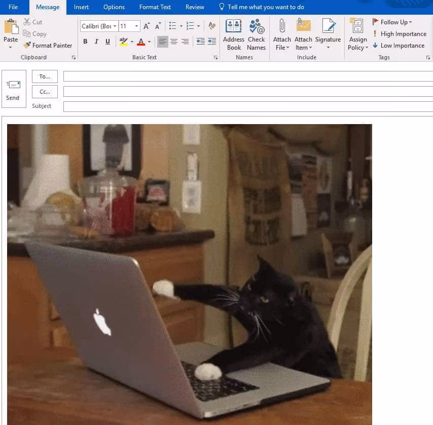 final-gif-shown-in-the-outlook-email
