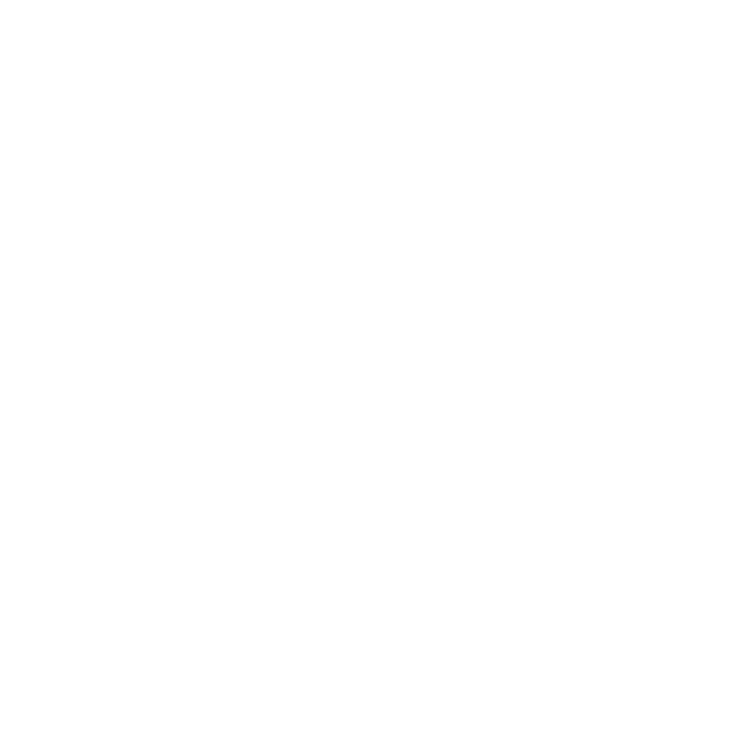 MCP Server Development