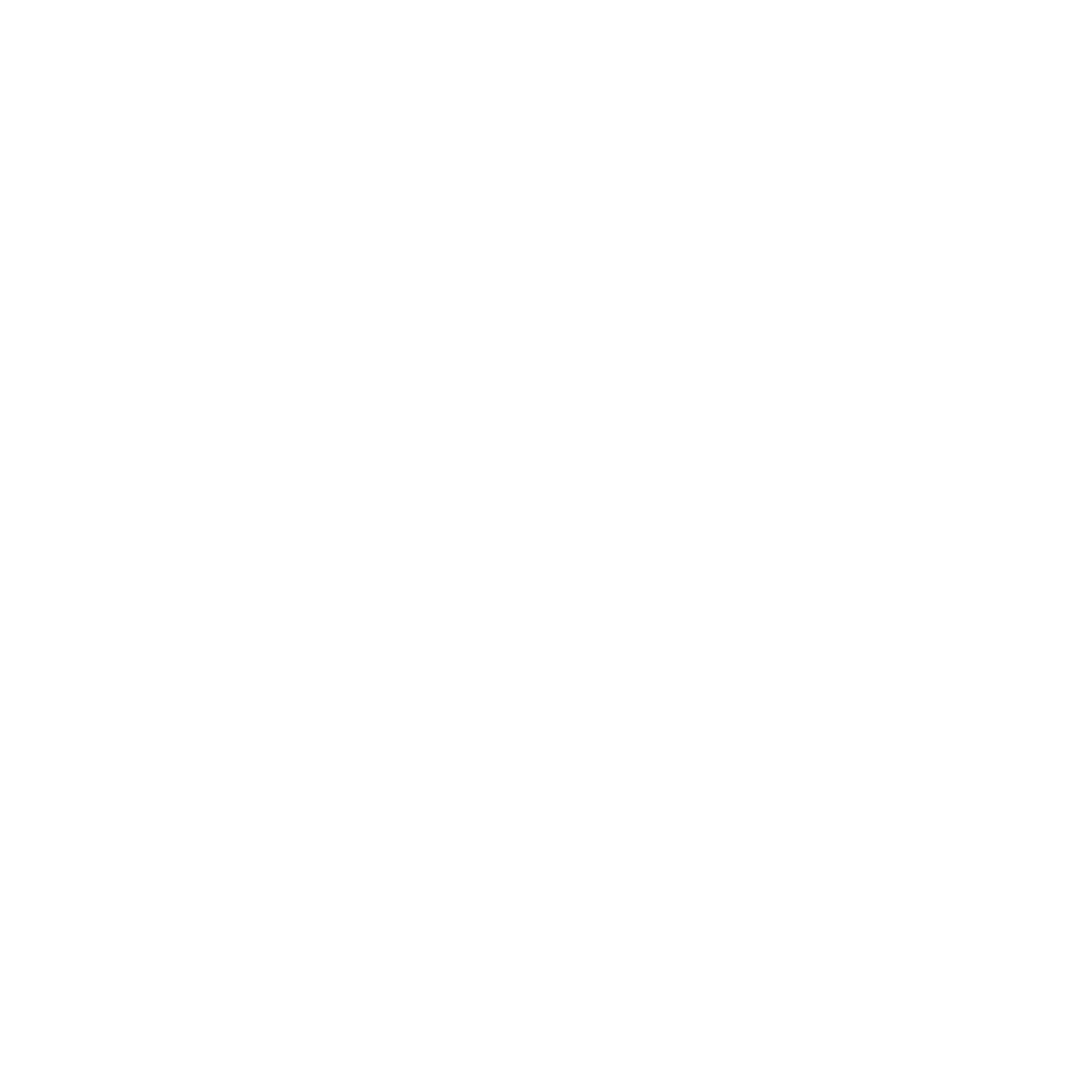 MCP Server Development