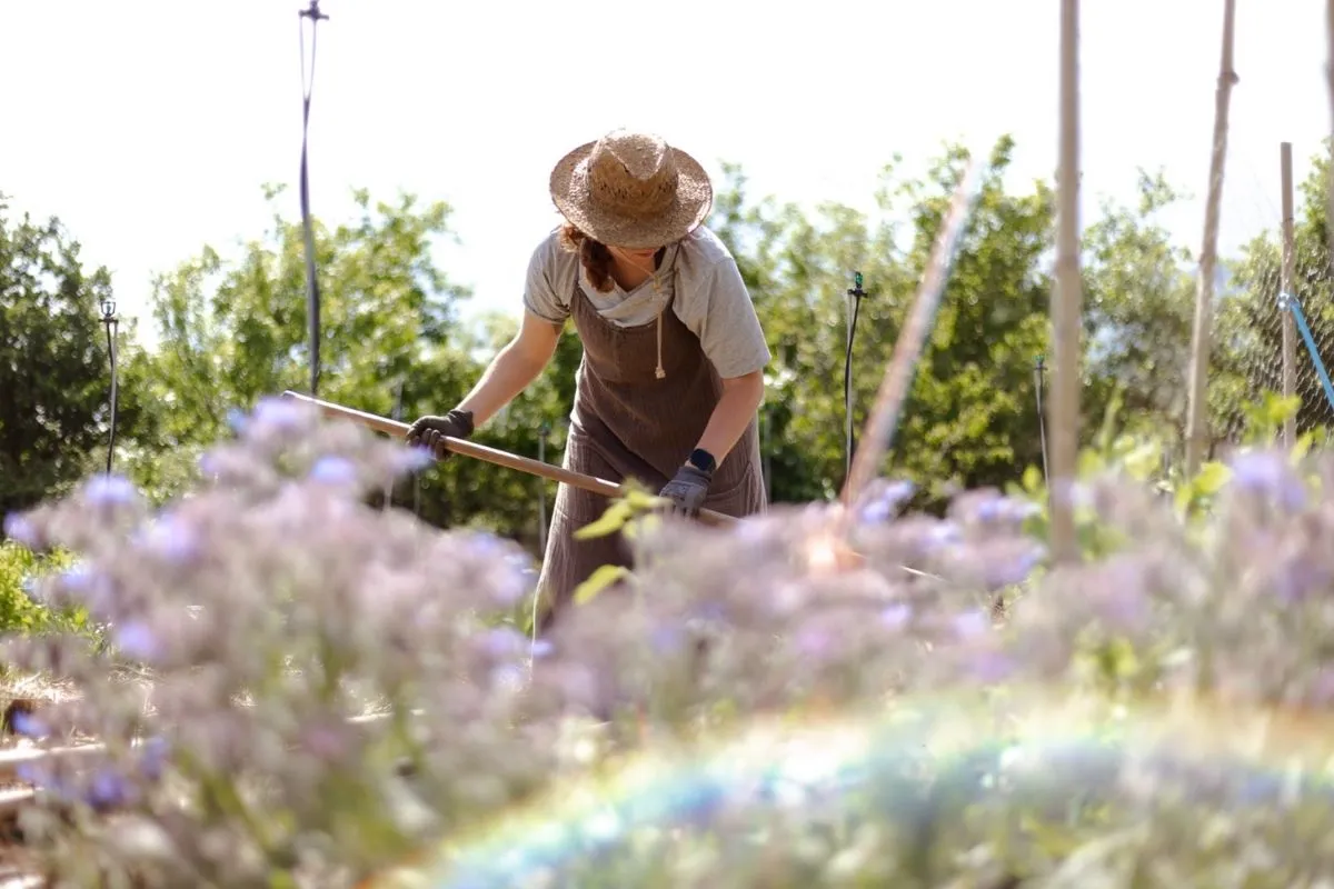 Une personne avec un chapeau de paille s'occupe du potager en permaculture de Permaterra.