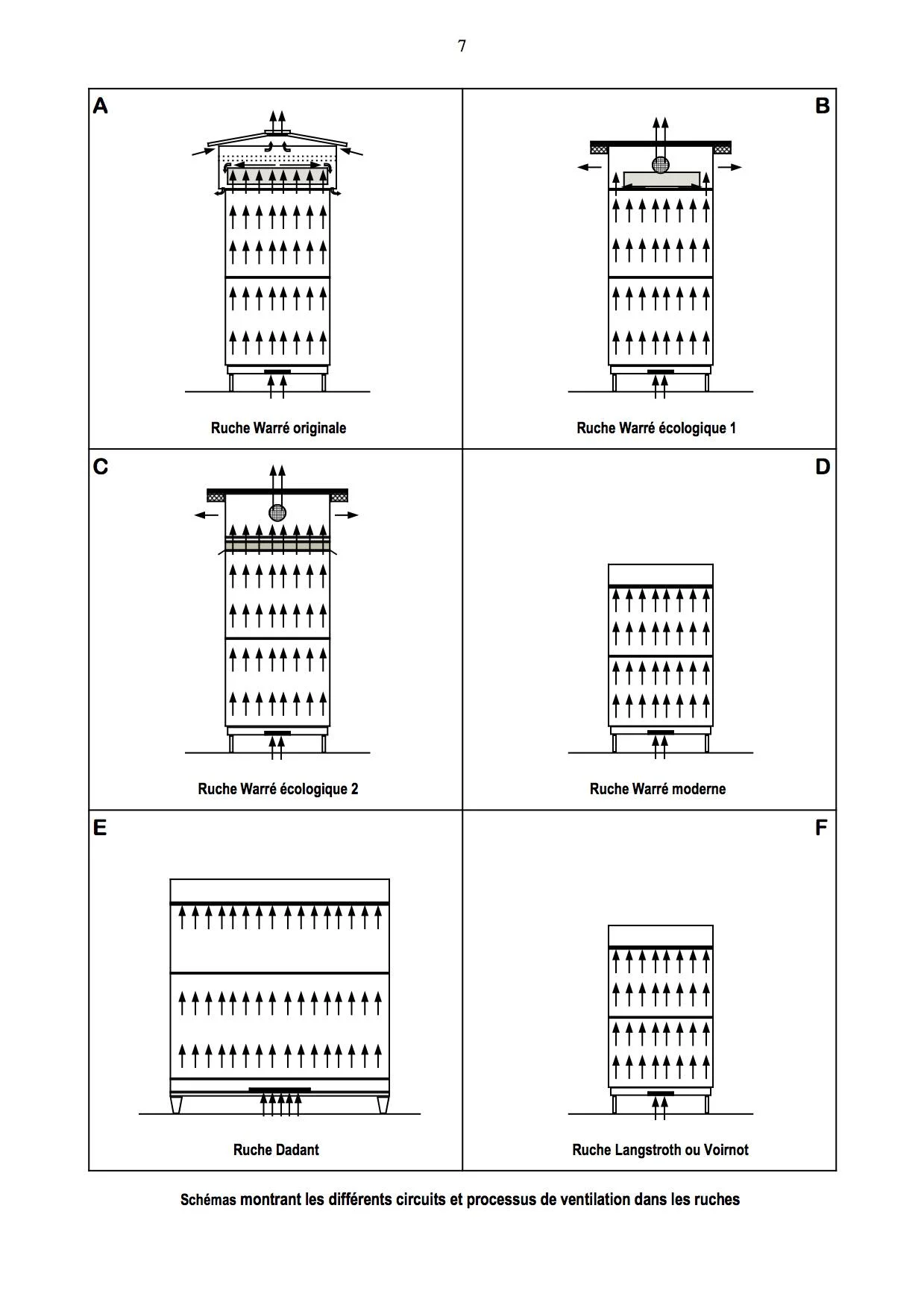 Schéma de la ruche écologique