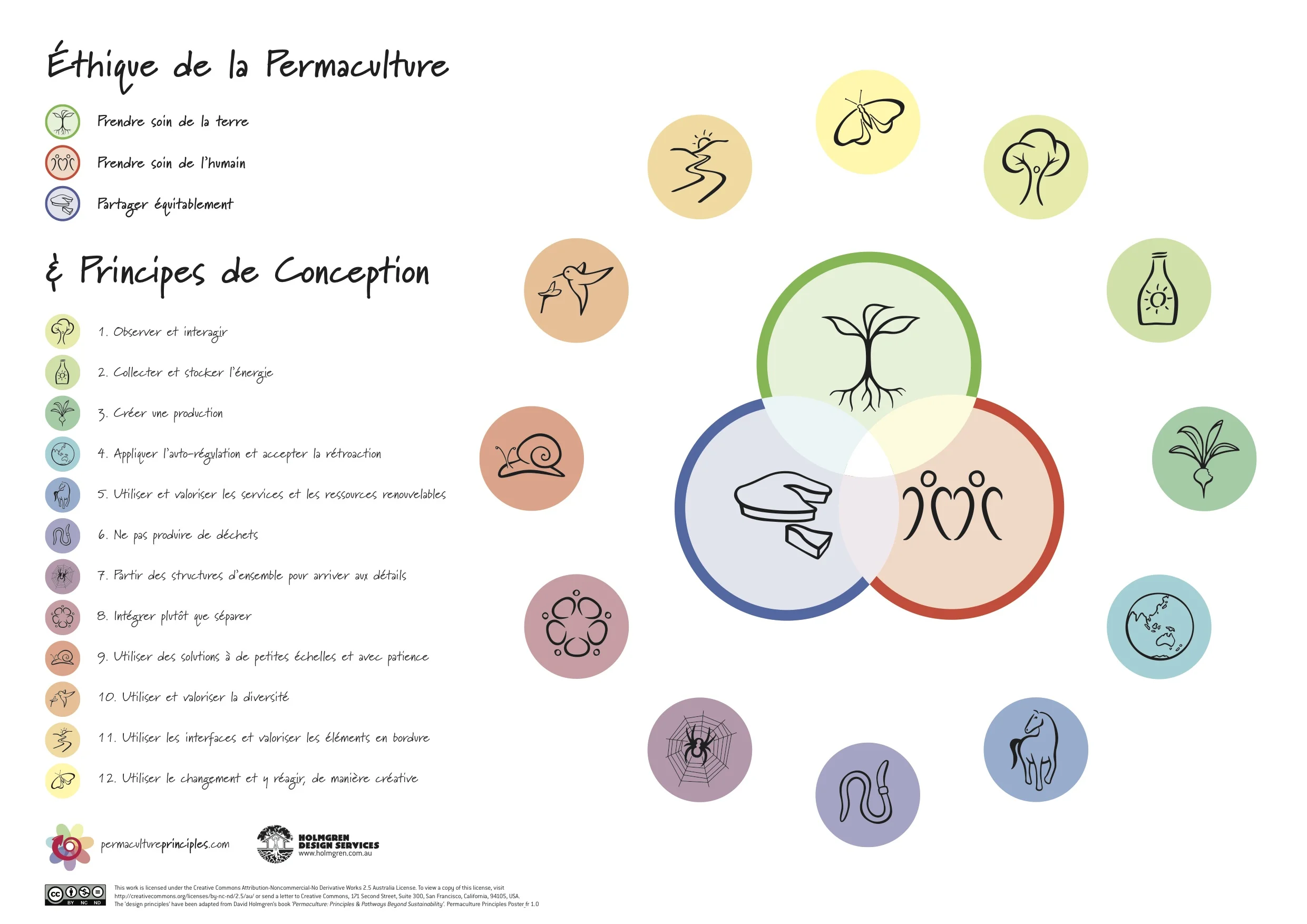 Les 12 principes de permaculture : outils de conception