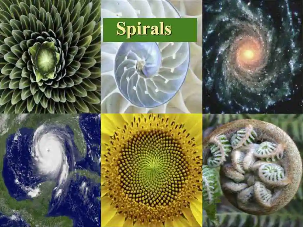 Spirales
