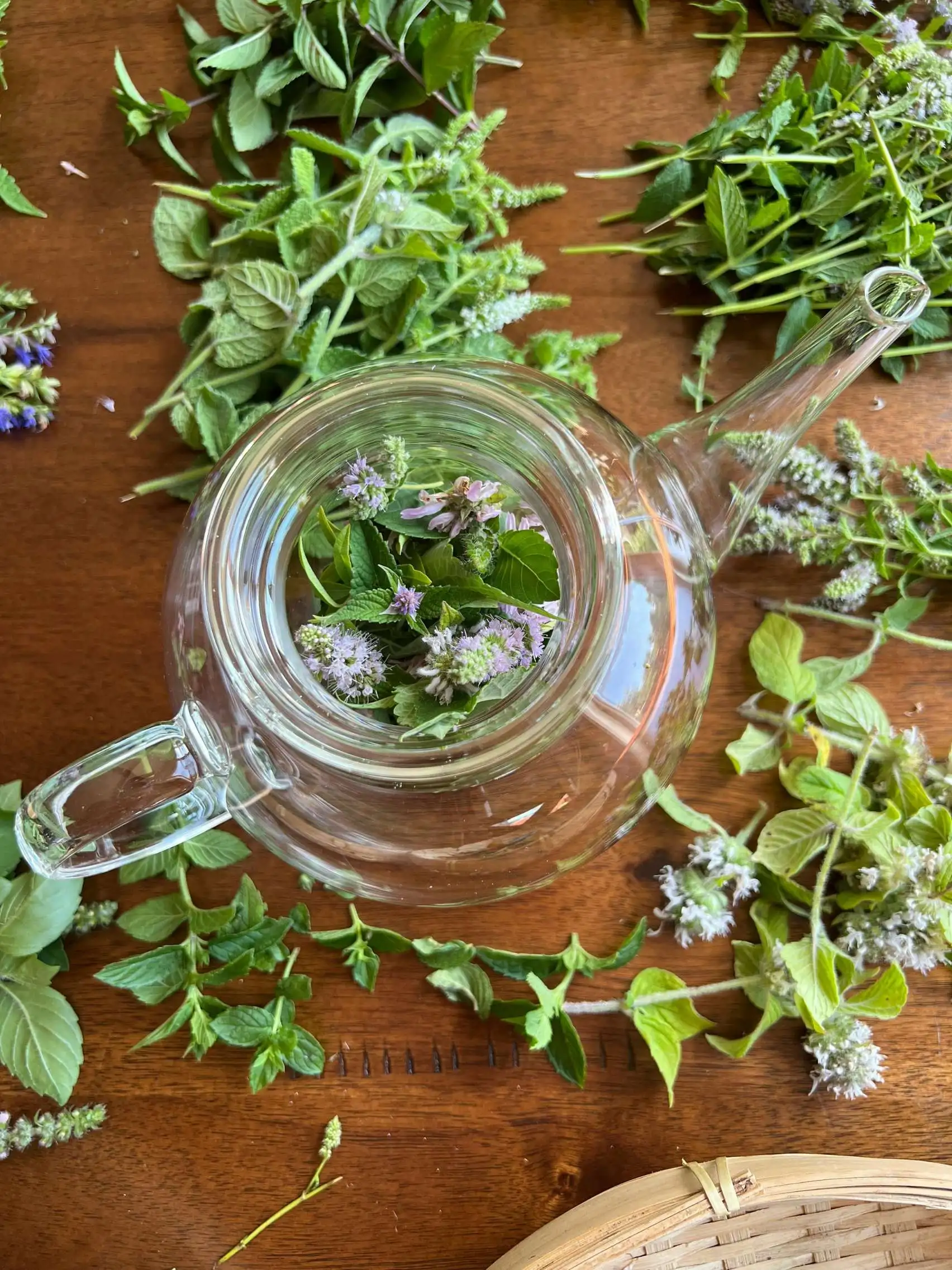 Photo d'une infusion de plantes aromatiques dans une carafe, ici infusion de la menthe.