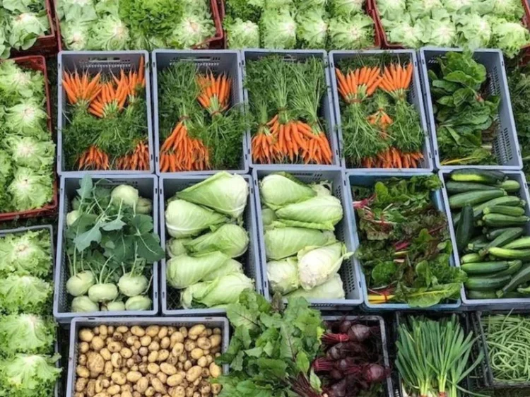 Caisses de légumes de la ferme Ty Lulu.