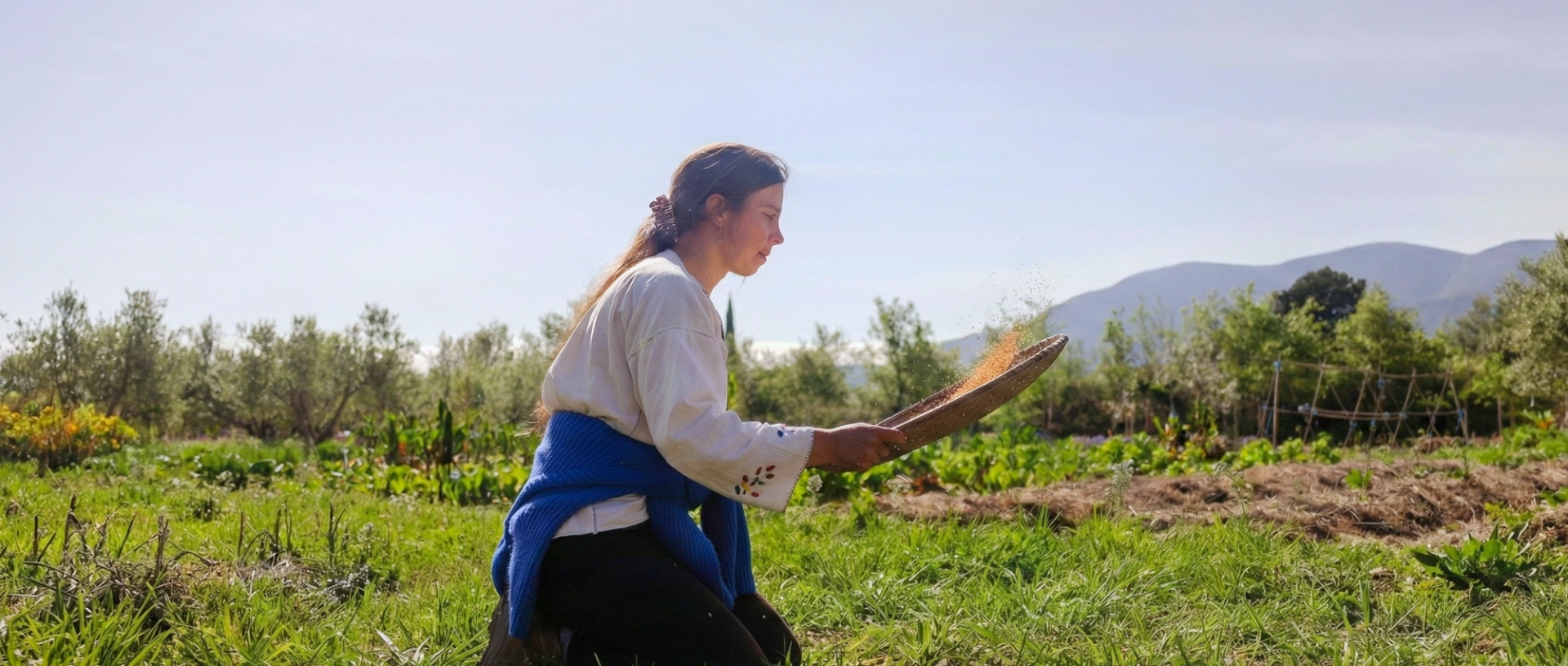 Travail de sélection des semences au Mas Alavall, ferme agroécologique de Permaterra à Céret.