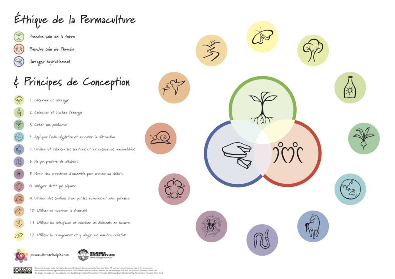 Les 3 éthiques et les 12 principes de la permaculture.
