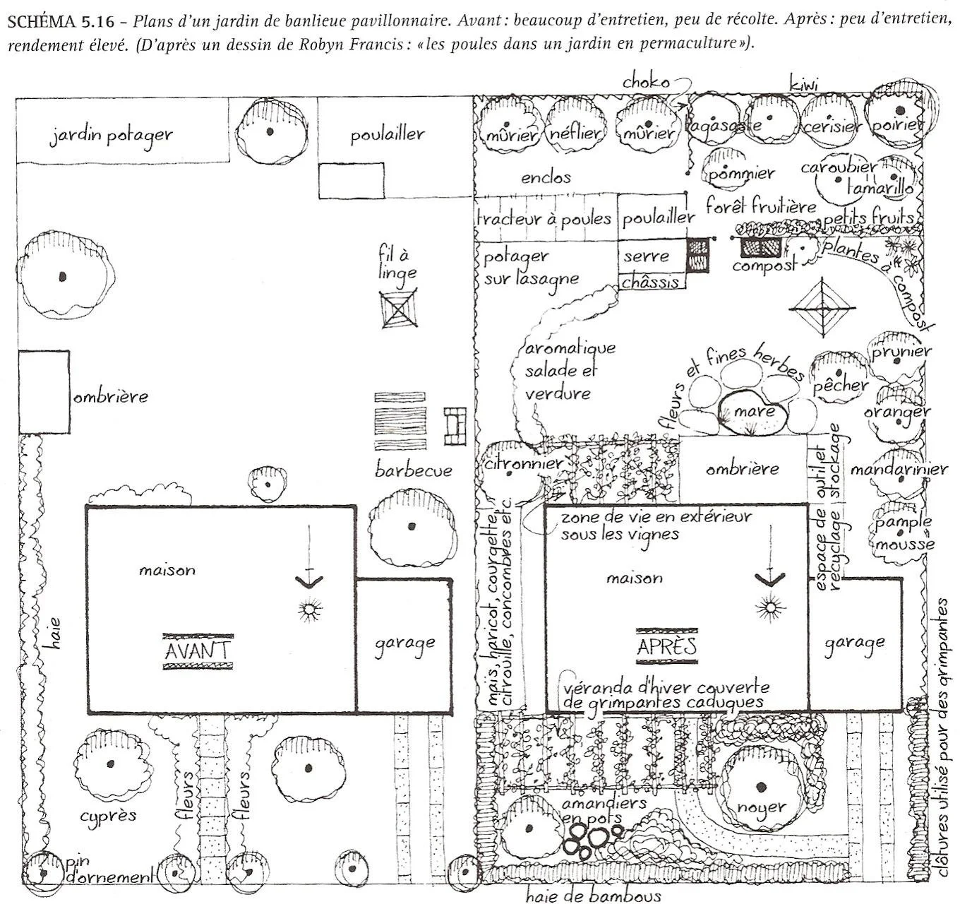 Design permaculture potager ferme
