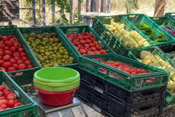 Photo d'un stand de fruits et légumes produit et récolté à la ferme.