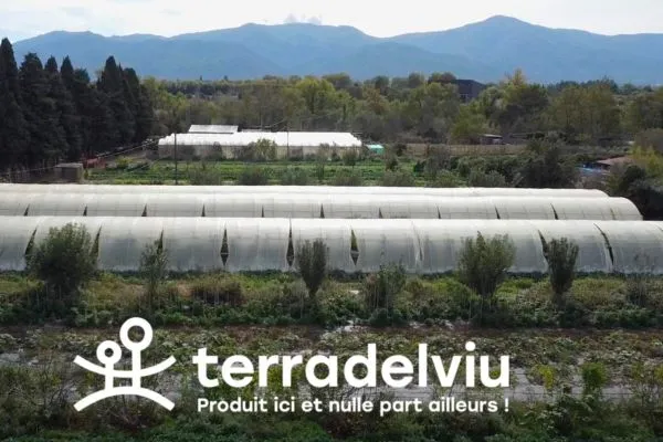 Photo de la ferme Terradelviu à Elne.