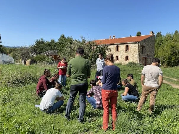 Formation diagnostic du sol