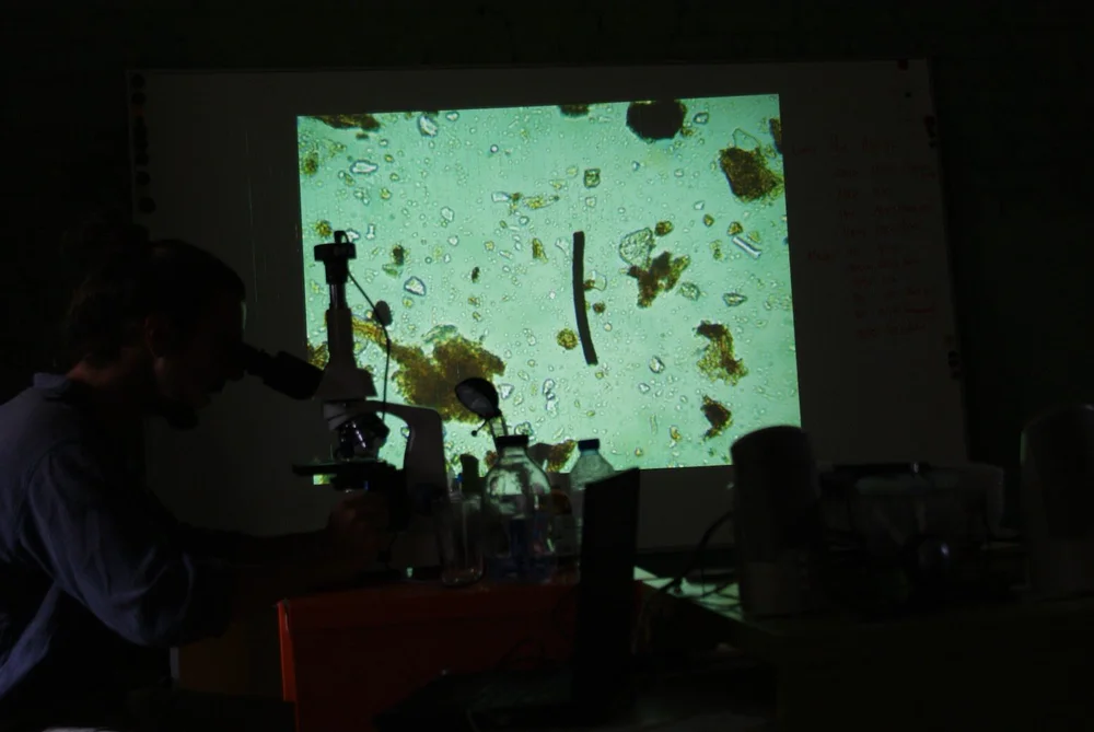 Photo d'une observation au microscope du sol et des micro-organismes.