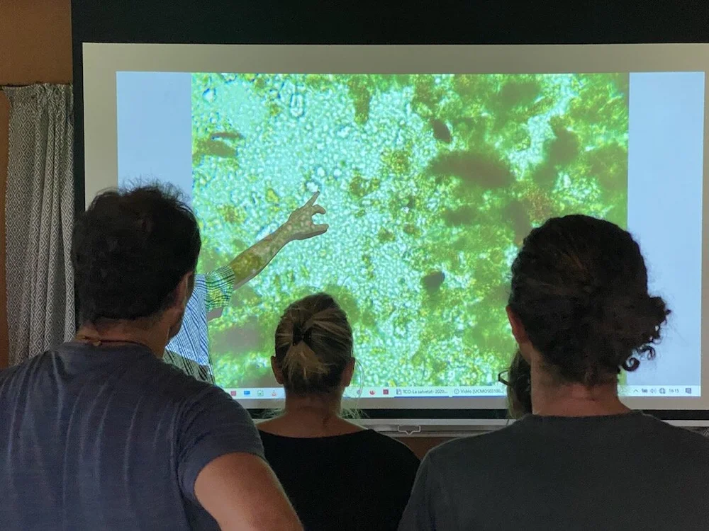 Photo d'une observation au microscope durant la formation microbiologie des sols.