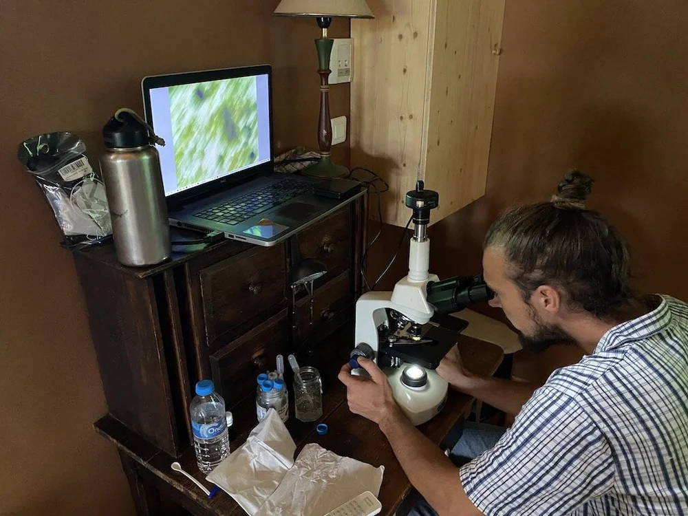 Photo d'une observation au microscope de la microbiologie du sol.