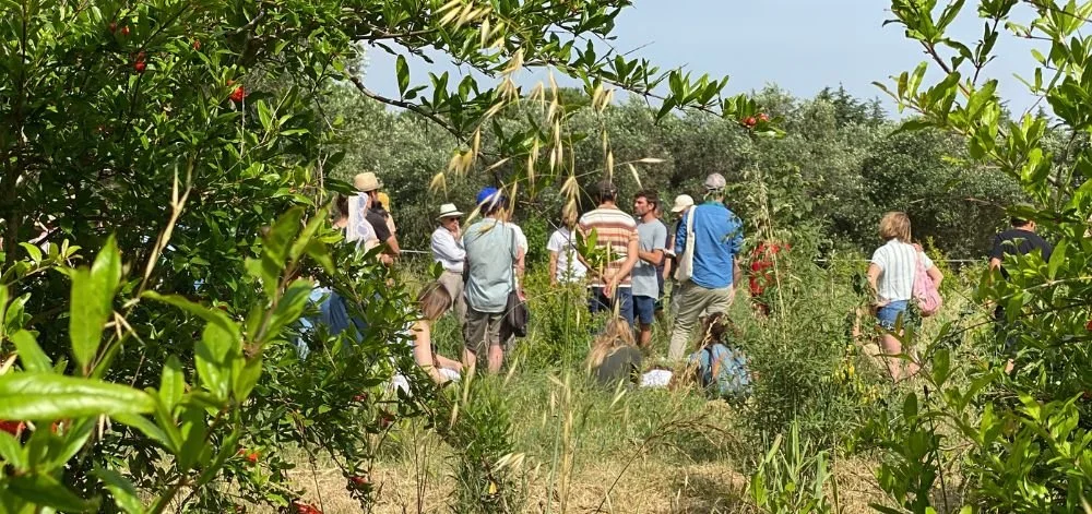 Des personnes visites le domaine de la mer blanche lors de la formation arboriculture de Permaterra.