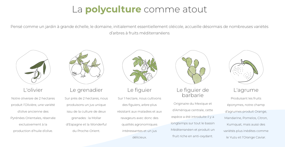 Schéma de la polyculture.