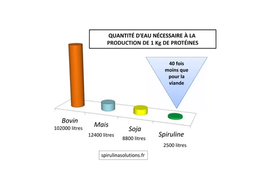 Apport de protéine de la consommation de la spiruline fraîche.