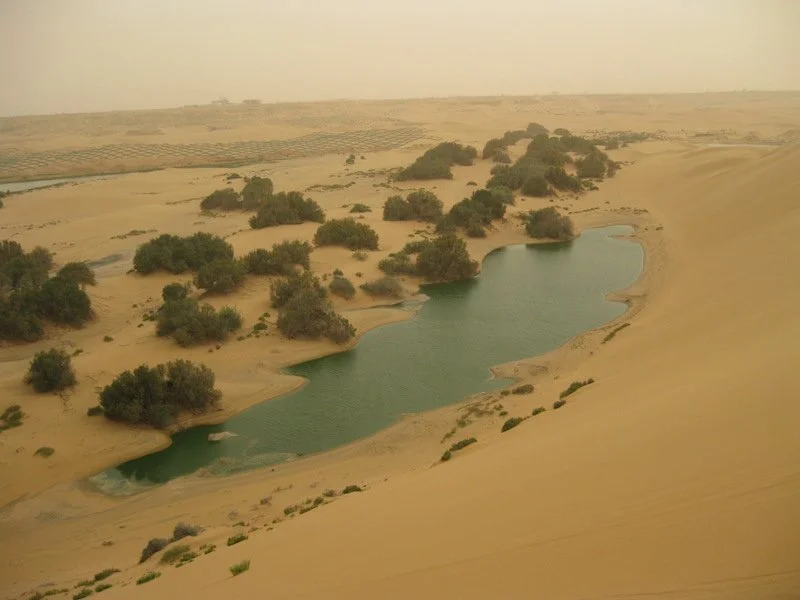 Photo du lac de spiruline, le lac de laayoune dans le sahara occidental.