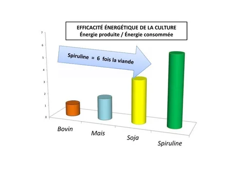 Apport de protéine de la spiruline par rapport à d'autres aliments.