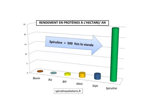 Schéma apports protéine de la spiruline.