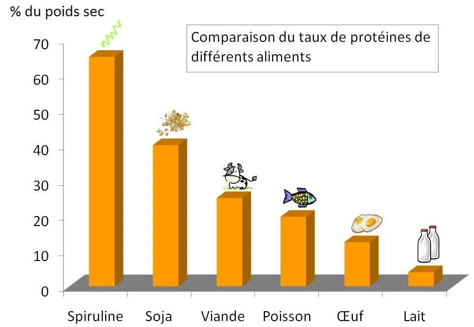 Schéma des bénéfices de la consommation de spiruline fraiche.