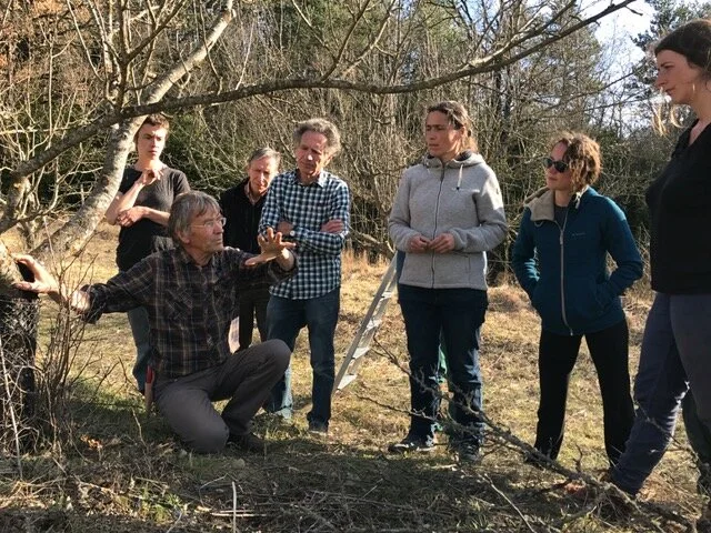 Des participants et le formateur durant un atelier pratique de la formation la taille des arbres libres.